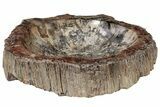 Large, Polished Petrified Wood Dish ( lbs) - Madagascar #221161-3